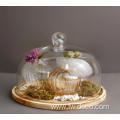 Glass Cloche Bell Jar Display Dome cover